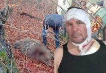 Edin preživio napad medvjeda: Znao sam da nemam pravo na grešku