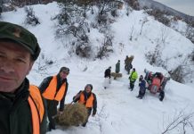 Odgovorno djelovanje LD ‘Srndać-Kakanj’: Obustavljen lov i pojačana briga o divljači zbog teških zimskih uslova