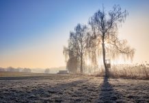 Kraj hladnoće, stiže jugo: Postepeno zatopljenje širom zemlje, vikend donosi kišu