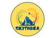 Porast nasilja prema životinjama u Kaknju: “Skitnica” odgovara policijskim prijavama