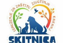Udruženje “Skitnica” upozorava: Novi napadi pasa lutalica