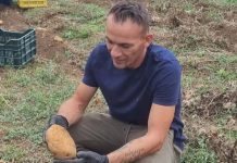 Veliko srce kakanjskog poljoprivrednika: Elzudin Mašić besplatno podijelio oko 600 kilograma krompira